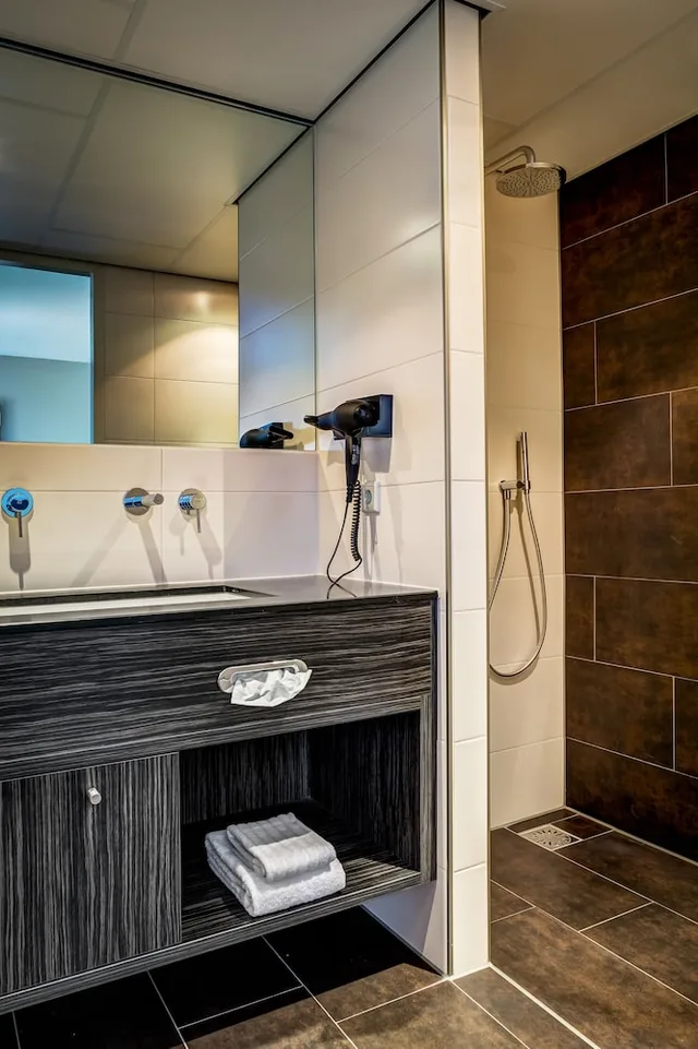 Luxury, Twin Beds, Fletcher Landgoed Hotel Holthurnsche Hof 4/5