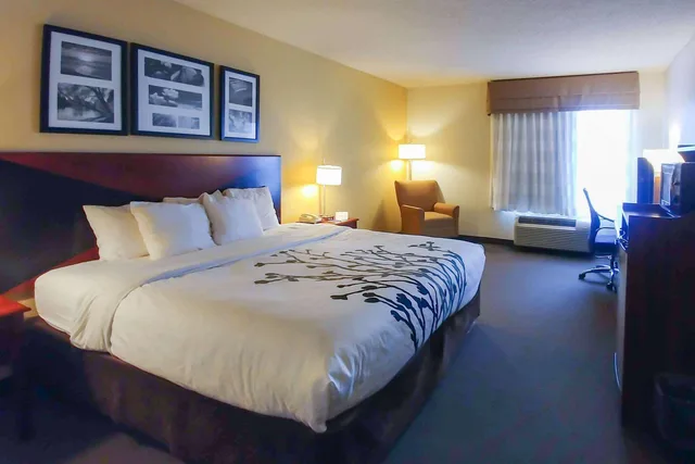 استوديو ديلوكس بسرير كينج، Wingate by Wyndham Dublin Near Claytor Lake State Park 2/6