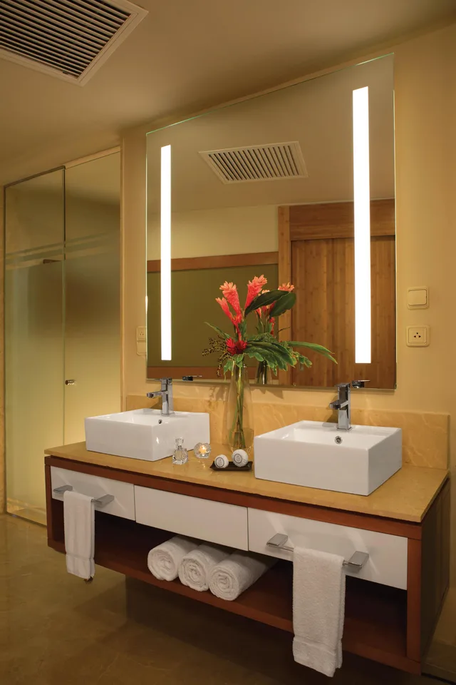 Junior Suite, Garden View, Dreams Onyx Resort And Spa Punta Cana 3/3