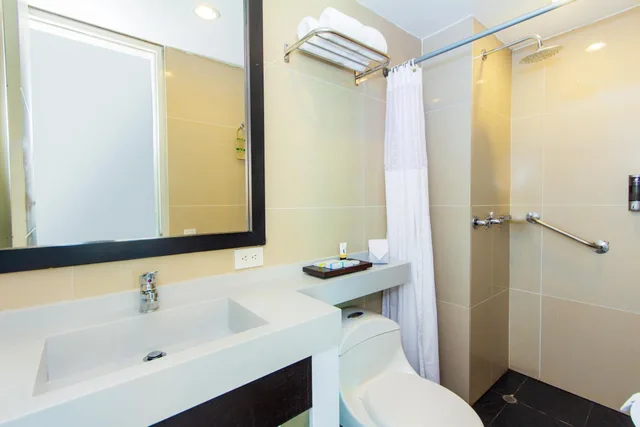جناح بريميوم بسرير مزدوج، The Morgana Poblado Suites Hotel 5/5