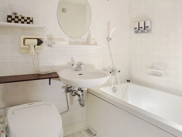 غرفة قياسية مفردة بسرير مزدوج، Hotel Emisia Sapporo 3/3