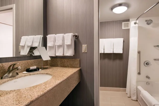 غرفة ديلوكس بسرير كينج بإطلالة على المسبح مع أريكة، Sonesta Select Huntington Beach Fountain Valley 4/4