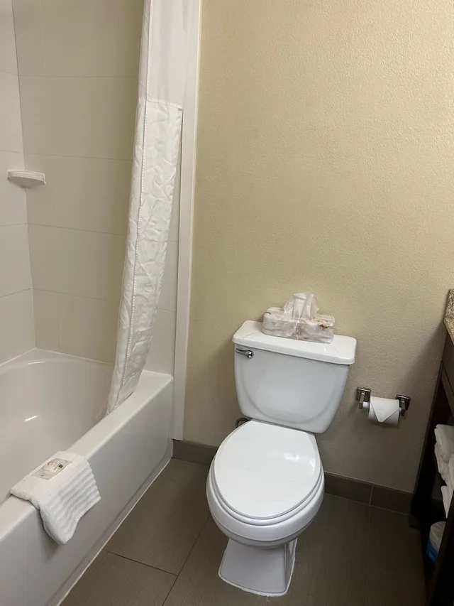 غرفة قياسية بسرير كينج مع أريكة، Quality Inn & Suites Bradford, PA 2/2