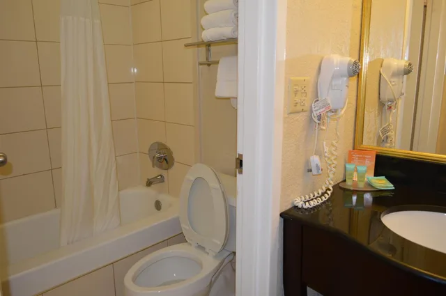غرفة قياسية بسرير كينج، Opal Hotel and Suites 5/6