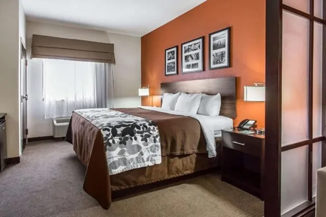 جناح بسرير كينج مع أريكة لذوي الإعاقة، Sleep Inn & Suites Lubbock West 1/1