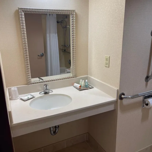 غرفة بسرير كينج بحوض استحمام لذوي الإعاقة، Quality Hotel Philadelphia Airport 3/4