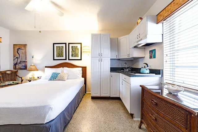 Efficiency, Economy, Queen Bed، The Desoto Inns 1/3