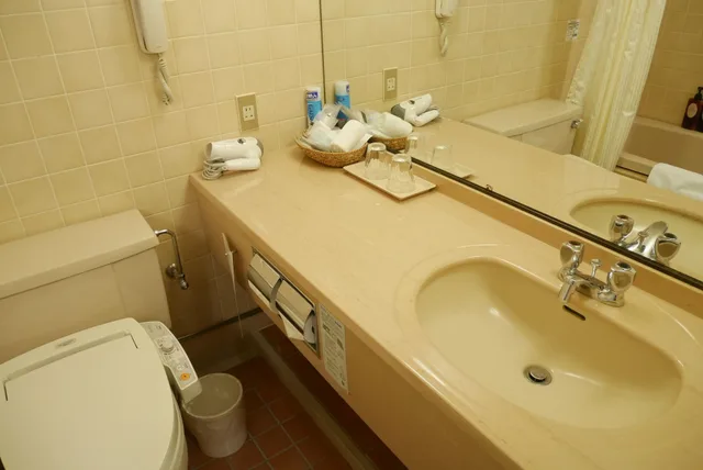 غرفة ديلوكس مفردة للمدخنين، Rembrandt Hotel Atsugi 4/11
