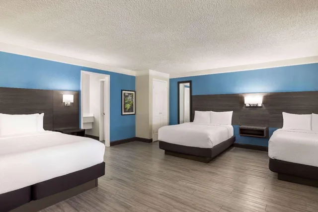 جناح عائلي بسرير كينج وسريرين مزدوجين، La Quinta Inn by Wyndham San Antonio I-35 N at Toepperwein 4/6