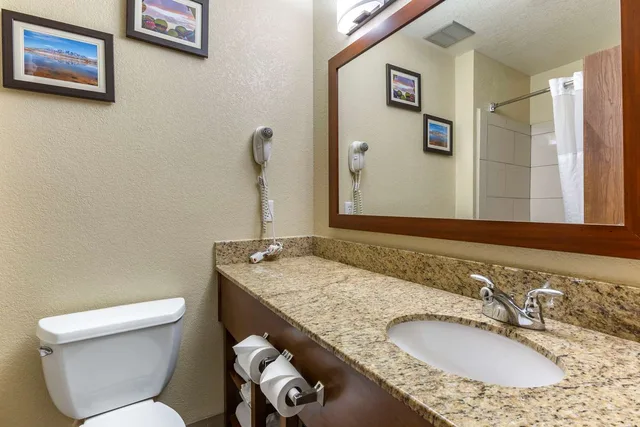 غرفة بسرير كينج، Comfort Inn & Suites Alameda At Albuquerque Balloon Fiesta Park 5/5