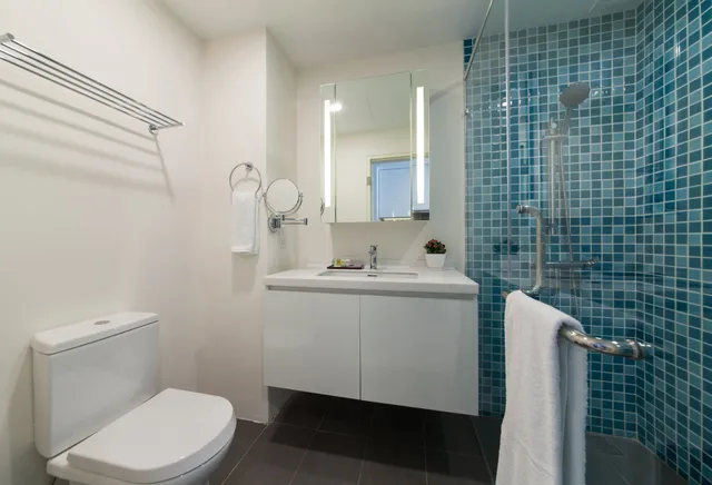 Executive, Studio, Queen Bed, Citadines Dpulze Cyberjaya 2/4