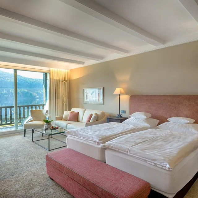 Superior, Double Bed, Lake View, Balcony or Terrace، Treschers Schwarzwaldhotel 1/10