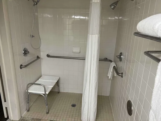 غرفة بسرير كينج لذوي الإعاقة، Williamsburg Historic District 3/3
