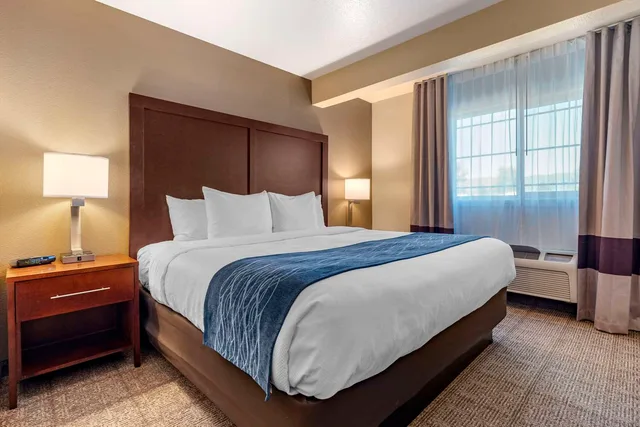 Suite, King Bed, Comfort Inn & Suites Ukiah Mendocino County 1/1