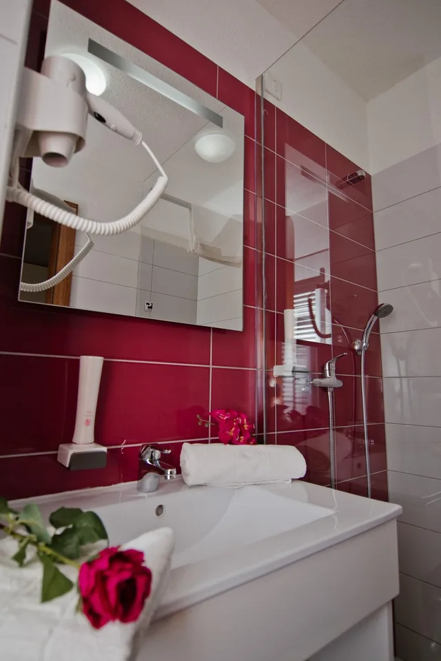 Standard, Double or Twin Bed, City View, Medjugorje Hotel Spa 10/10