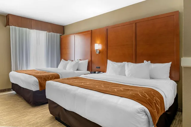 جناح بسريرين كينج، Comfort Suites Lubbock TX 3/5