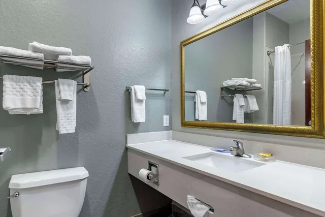 غرفة قياسية بسرير كينج، Best Western Plus Victoria Inn & Suites 4/5