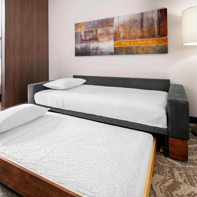 جناح بسرير كينج مع سرير سحّاب إضافي مع أريكة بحوض استحمام لذوي الإعاقة، Springhill Suites Scottsdale North 2/4