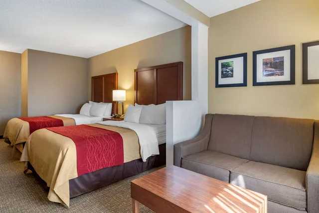 جناح بسريرين مزدوجين، Comfort Inn Suites Suwanee Sugarloaf 2/3