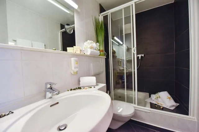 غرفة قياسية بسرير مزدوج، Atrium Hotel Amadeus 8/9