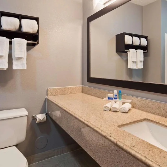 غرفة بسرير كينج لذوي الإعاقة، Best Western Executive Inn Mount Gilead 7/8