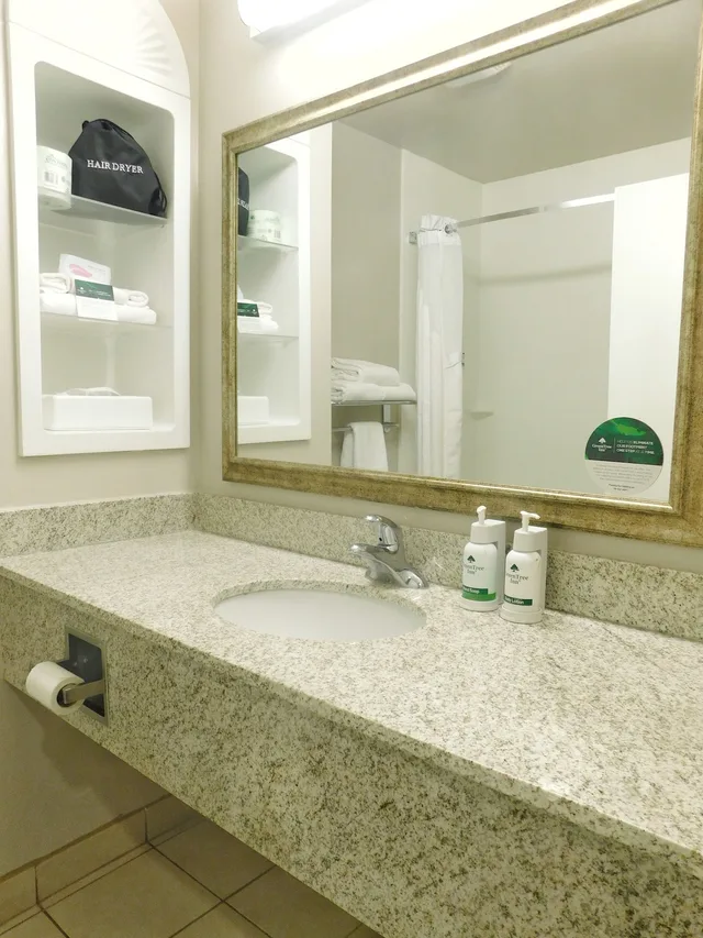 Executive, Suite, King Bed, Greentree Inn Suites In Pinetop 3/4