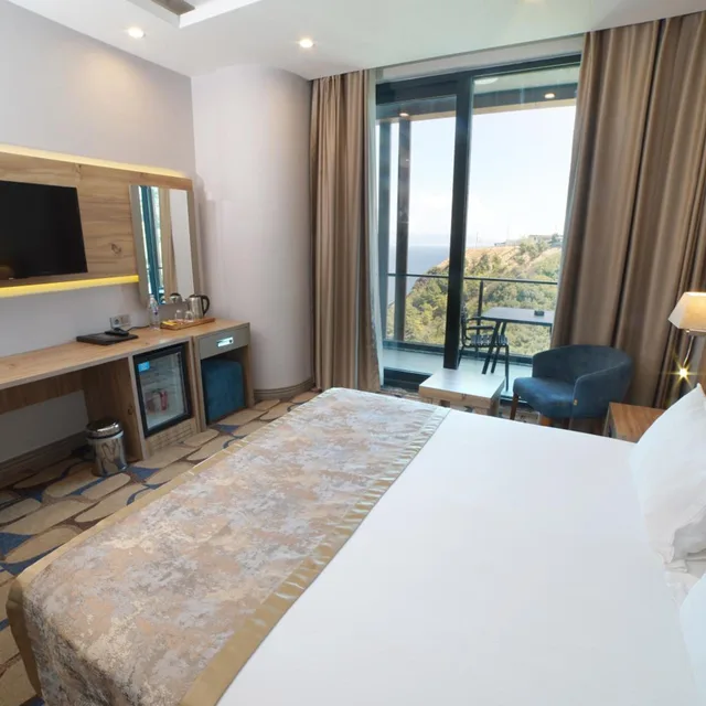 غرفة ديلوكس بسرير مزدوج أو سريرين منفصلين بإطلالة على البحر، Blue Mudanya Hotel 6/10