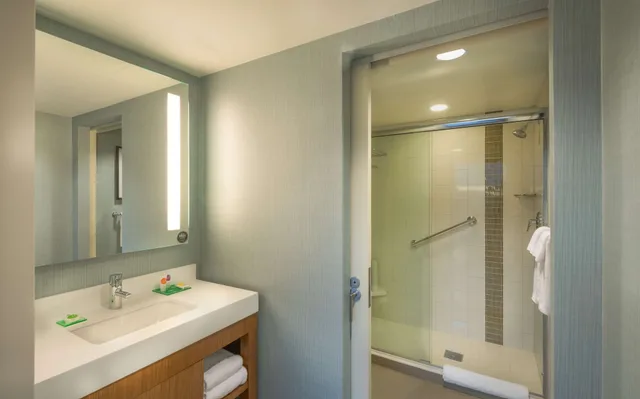 Room, King Bed, Sofa, Accessible, HYATT PLACE WASHINGTON DC/NATIONAL MALL 4/4