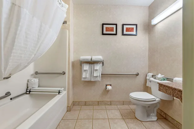 Upgrade, Business, Suite, King Bed, Sofa, Accessible، Comfort Suites Castle Rock - Denver South 3/3