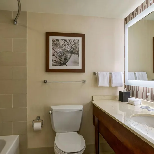 غرفة تقليدية بسرير كينج مع أريكة، WESTIN - SEATTLE 3/10