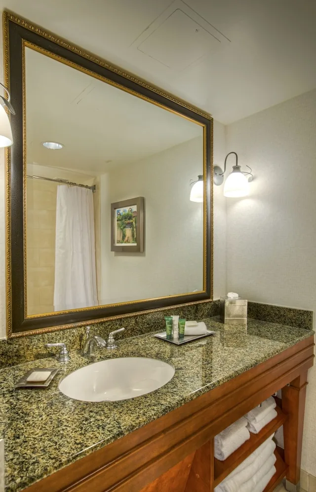 Room, King Bed, Ground Floor, Doubletree by Hilton Raleigh Durham Airport at Research Triangle Park 3/3