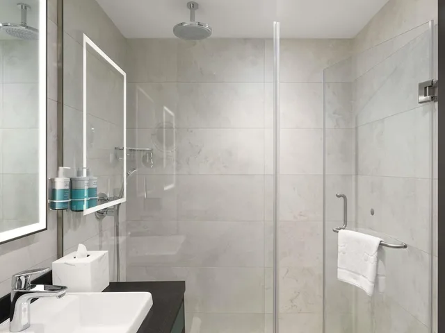 غرفة تنفيذية بسرير كينج، Novotel Tbilisi Center 9/10