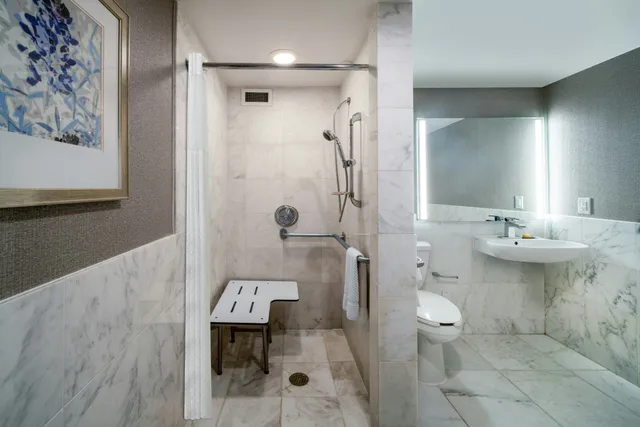 استوديو بسرير كينج بإطلالة على المدينة لذوي الإعاقة، Hilton Dallas Lincoln Centre by the Galleria 3/3