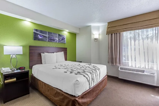 غرفة قياسية بسرير كينج، Sleep Inn near Busch Gardens - USF 3/10