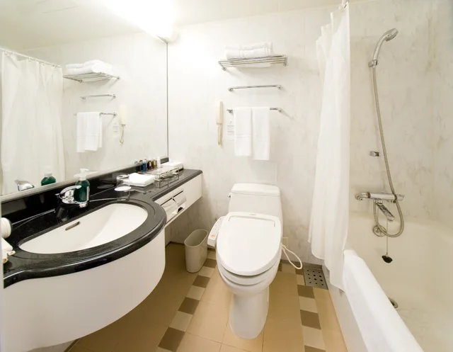 Premium, 2 Double Beds, Tokyo Castle View، Ana Crowne Plaza Hotel Toyama 7/7