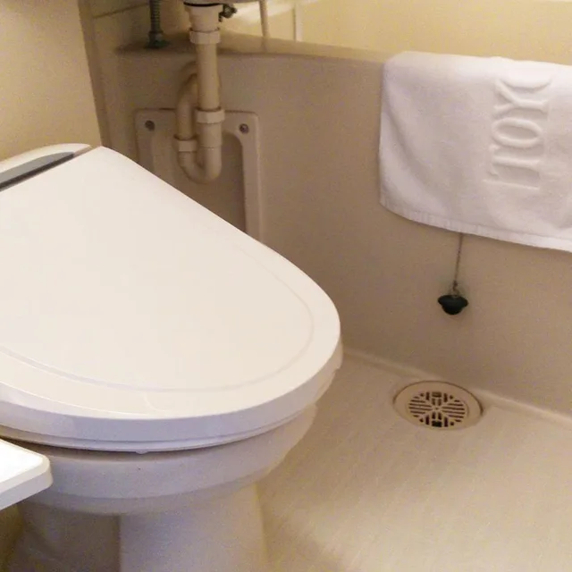 Room, Single, Toyoko Inn Tokyo Shinjuku Kabukicho 5/5
