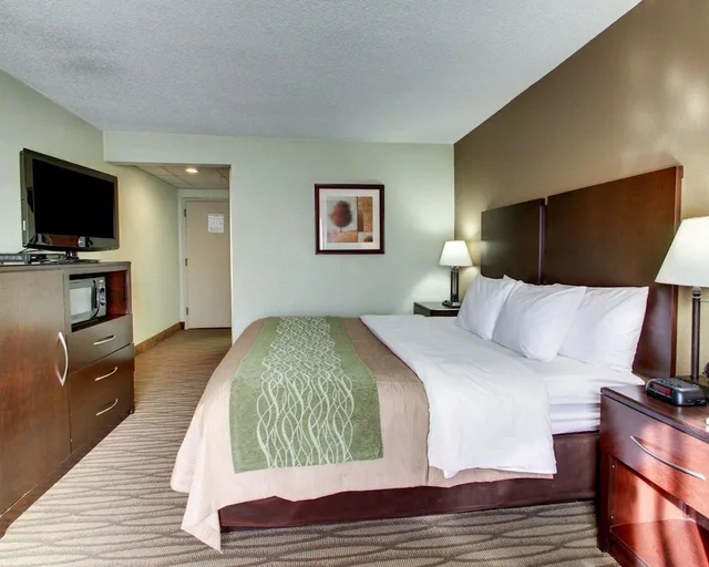 غرفة قياسية بسرير كينج، Comfort Inn Pearl-Jackson 1/5