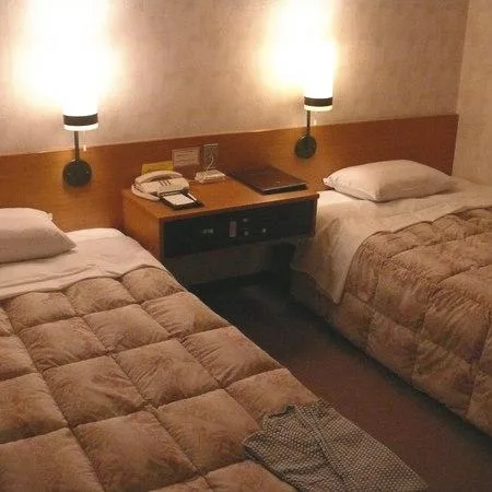 غرفة ديلوكس بسريرين منفصلين بإطلالة على المدينة للمدخنين، Mihara Kokusai Hotel 1/1