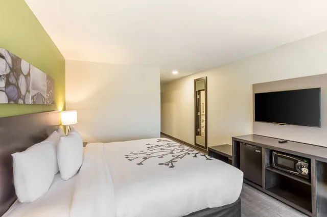 غرفة بسرير كينج لذوي الإعاقة، Sleep Inn Logan Ohio-Hocking Hills 2/3