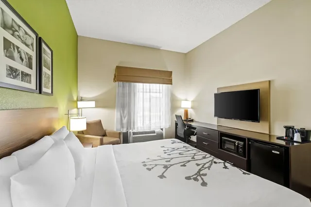 غرفة بسرير كينج لذوي الإعاقة، Sleep Inn & Suites Dripping Springs - Austin Area 2/5