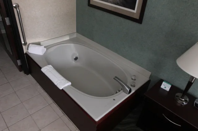 جناح كبير بسرير كينج بمطبخ صغير بحوض استحمام، Days Inn & Suites by Wyndham Rochester Hills MI 4/4