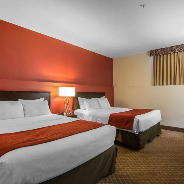 Basement, King Bed, 2 Queen Beds, Comfort Inn & Suites Calgary Airport - South 1/6