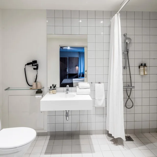 غرفة قياسية لذوي الإعاقة، Airport Hotel Billund 9/10