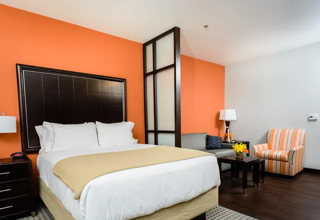 Suite, King Bed, Accessible, Holiday Inn Express Suites Austin Nw Arboretum Area 1/1