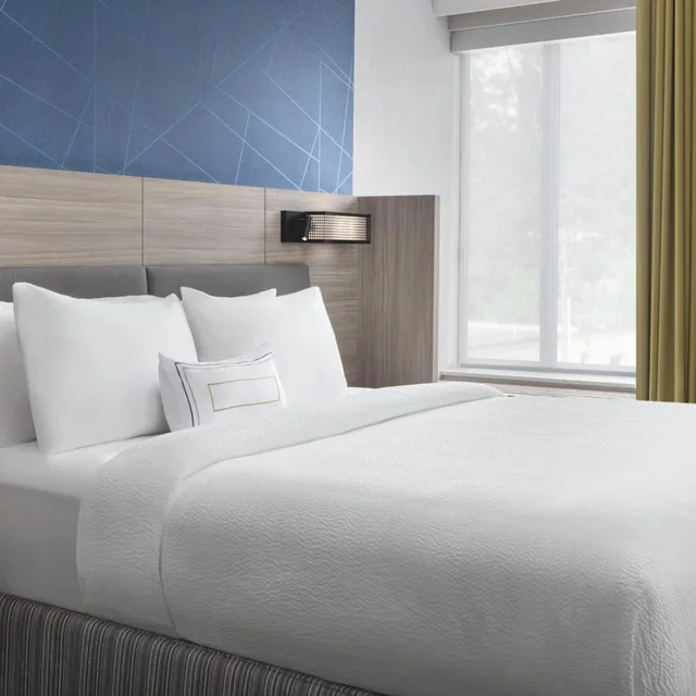 Suite, King Bed, Trundle Bed, Bathtub, Accessible, SpringHill Suites by Marriott Tuckahoe Westchester County 1/10