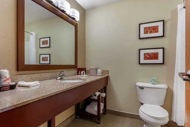غرفة بسريرين كوين، Comfort Suites Delavan Lake Geneva Area 3/3