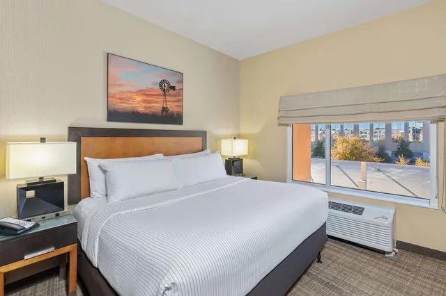 جناح بسرير كينج مع أريكة لذوي الإعاقة، Cambria Hotels Plano Frisco 1/5