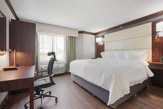 Suite, King Bed, The Leo Collection Detroit, an Ascend Collection Hotel 5/10