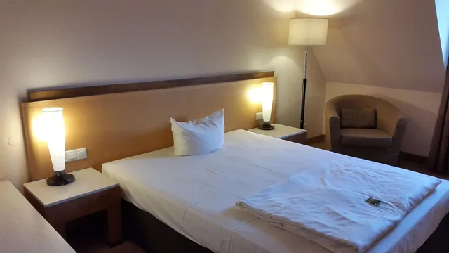 Comfort, Single, Queen Bed, Riverside، Sorat Insel-Hotel Regensburg 2/5
