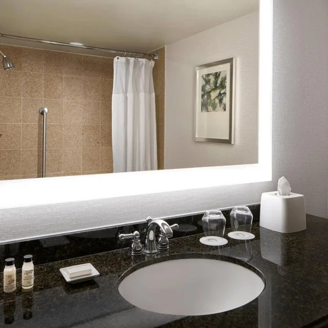 غرفة بسرير كينج بحوض استحمام لذوي الإعاقة، Delta Hotels by Marriott Chesapeake Norfolk 10/10